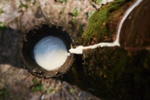 Sri Trang Agro-Industry joins the Global Platform for Sustainable Natural Rubber